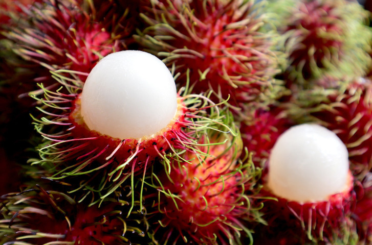 Rambutan
