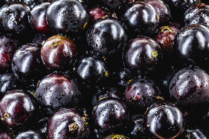 Jabuticaba