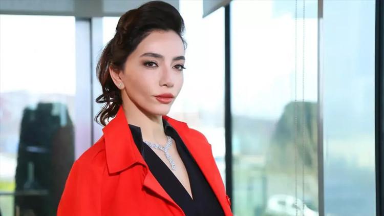 ÖYKÜ GÜRMAN OYNADIĞI DİZİLER