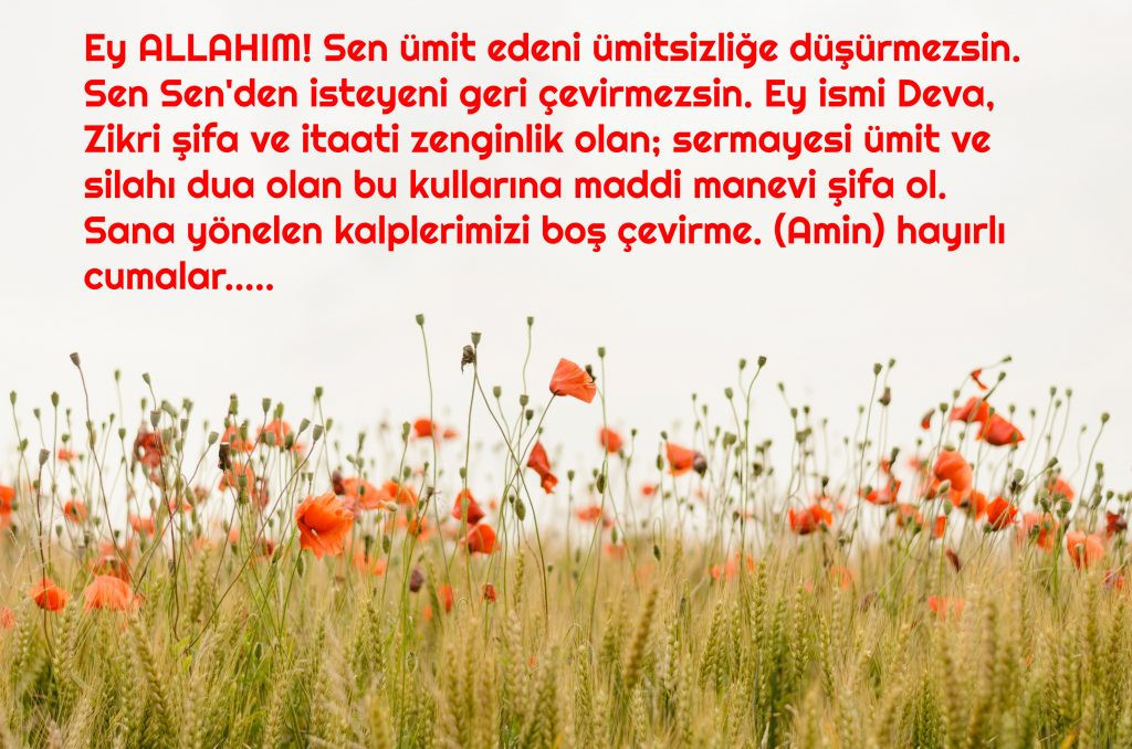 RESİMLİ CUMA MESAJLARI 2024 RESİMLİ CUMA MESAJLARI 2024