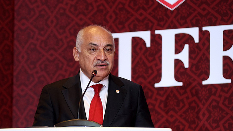 MEHMET BÜYÜKEKŞİ HANGİ GÖREVLERDE BULUNDU