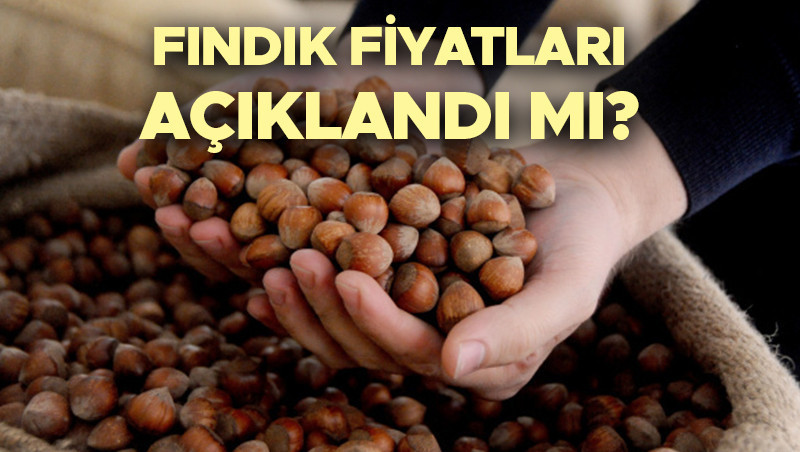FINDIK FİYATLARI 2024 AÇIKLANDI MI | Fındık fiyatları ne zaman açıklanacak TMO fındık taban fiyatları ne kadar olacak, 1 ton fındık kaç TL Levant ve Giresun kalite fındık fiyatları son durum FINDIK FİYATLARI 2024 AÇIKLANDI MI | Fındık fiyatları ne zaman açıklanacak TMO fındık taban fiyatları ne kadar olacak, 1 ton fındık kaç TL Levant ve Giresun kalite fındık fiyatları son durum