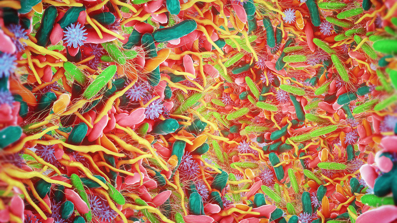 Dünyaca ünlü doktor anlattı: Şu üç takviyeyi bıraktım, bu ikisine devam ediyorum