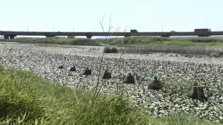 Yağış sonrası barajlardak son durum İSKİ tarafından paylaşıldı İşte İstanbul baraj doluluk oranları 27 Ağustos 2024