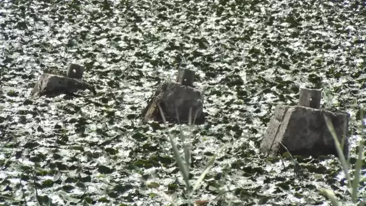 Yağış sonrası barajlardak son durum İSKİ tarafından paylaşıldı İşte İstanbul baraj doluluk oranları 27 Ağustos 2024