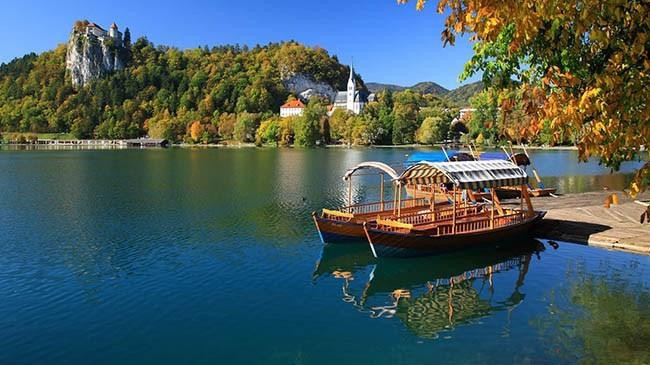 36. Slovenya