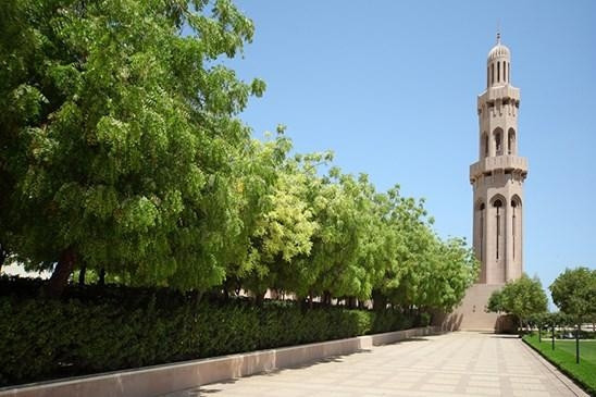 7. Umman