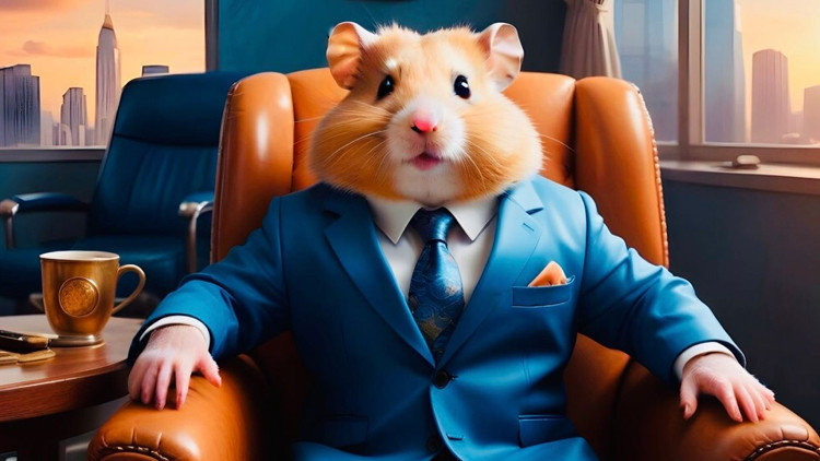 31 AĞUSTOS HAMSTER KOMBAT ŞİFRE