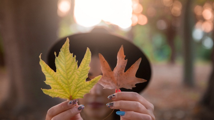 HOŞ GELDİN EYLÜL AYI MESAJLARI VE SÖZLERİ 2025 | En güzel, kısa, anlamlı, duygulu resimli Eylül ayı - sonbahar ile ilgili sözler