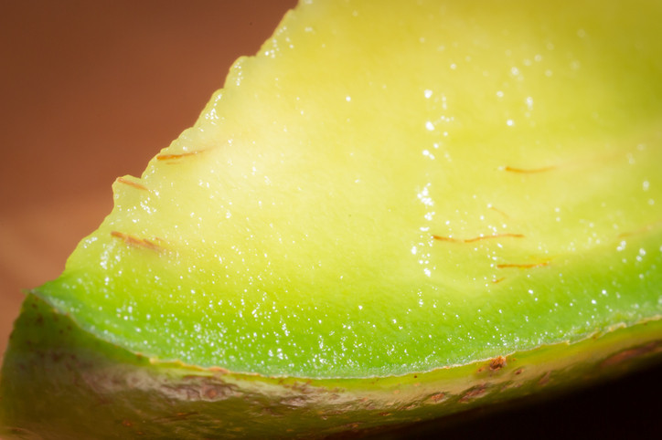 Faydaları say say bitmiyor ama... Avokadonun yanında ne yemeli, ne yememeli Faydaları say say bitmiyor ama... Avokadonun yanında ne yemeli, ne yememeli