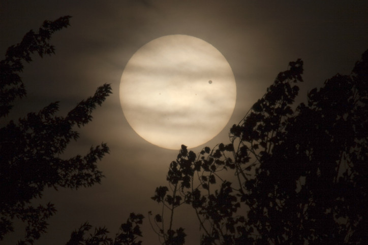 KANLI AY TUTULMASI NEDİR