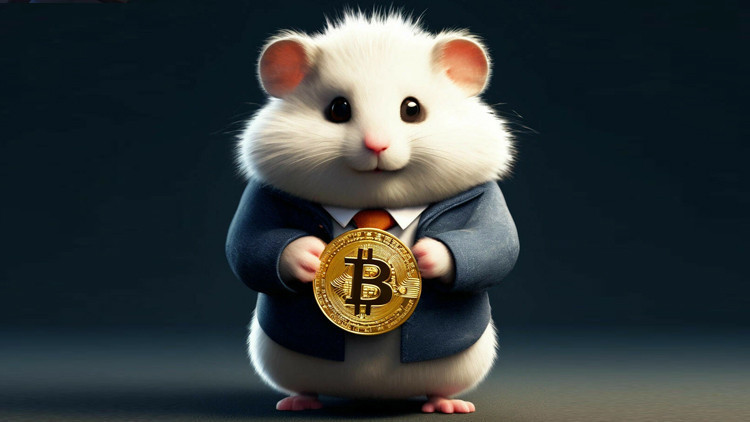 HAMSTER KOMBAT 18 EYLÜL 2024 GÜNLÜK KOMBO VE ŞİFRESİ HAMSTER KOMBAT 18 EYLÜL 2024 GÜNLÜK KOMBO VE ŞİFRESİ