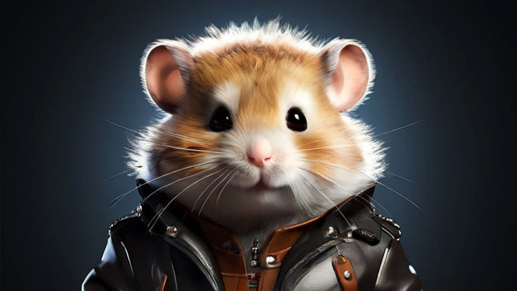 HAMSTER KOMBAT NEDİR