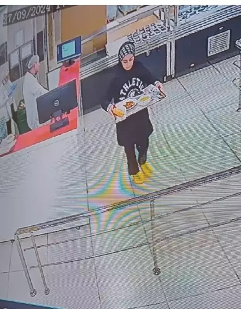 ROJİN KABAİŞ NASIL KAYBOLDU ROJİN KABAİŞ NASIL KAYBOLDU