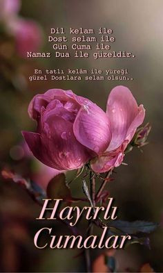 RESİMLİ CUMA MESAJLARI ANLAMLI KISA 2024 SEÇENEKLER 🙏En güzel, hadisli, dualı, ayetli, değişik, yeni, farklı cuma mesajları ve tebrik sözleri WhatsApp ile yakınlarınıza Hayırlı Cumalar dileyin