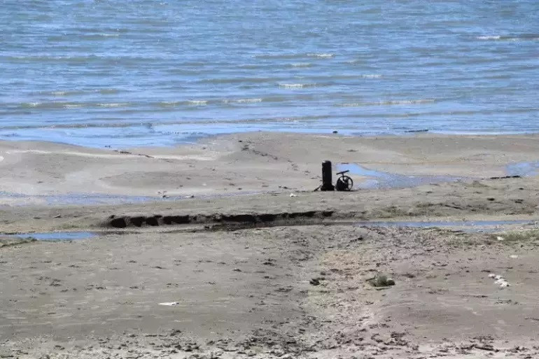 ROJİN KABAİŞ NASIL KAYBOLDU