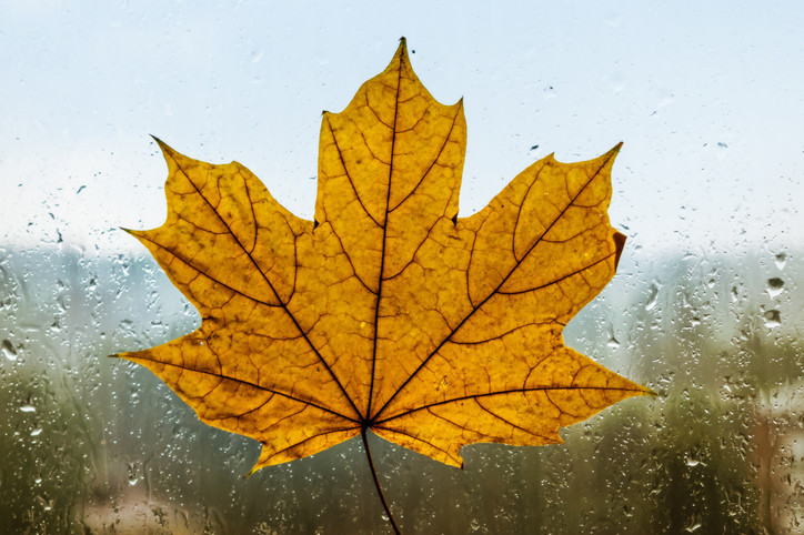 PASTIRMA SICAKLARI TARİHİ: PASTIRMA YAZI NE ZAMAN BAŞLAR, KAÇ GÜN SÜRER