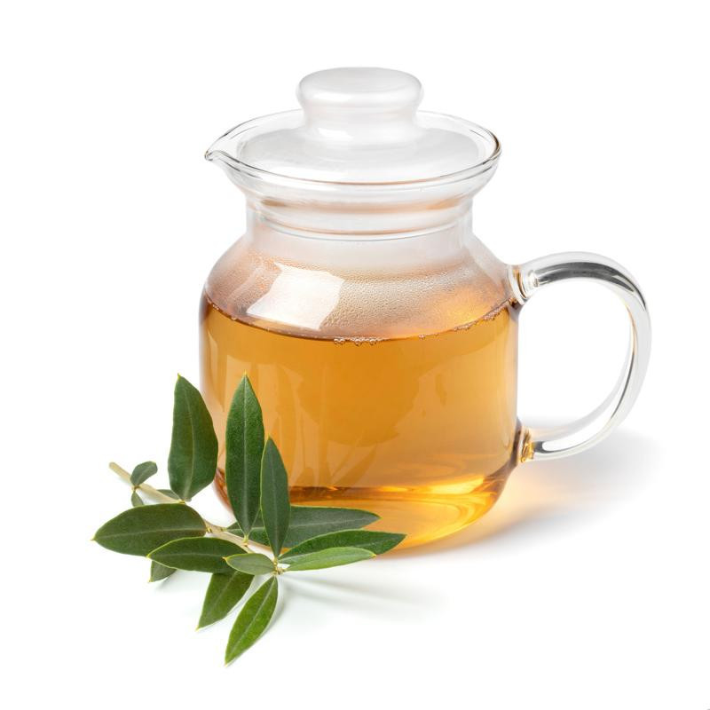 Binlerce yıldır tedavi amaçlı kullanılıyor Zeytin yaprağı çayı virüslere karşı korur mu Binlerce yıldır tedavi amaçlı kullanılıyor Zeytin yaprağı çayı virüslere karşı korur mu