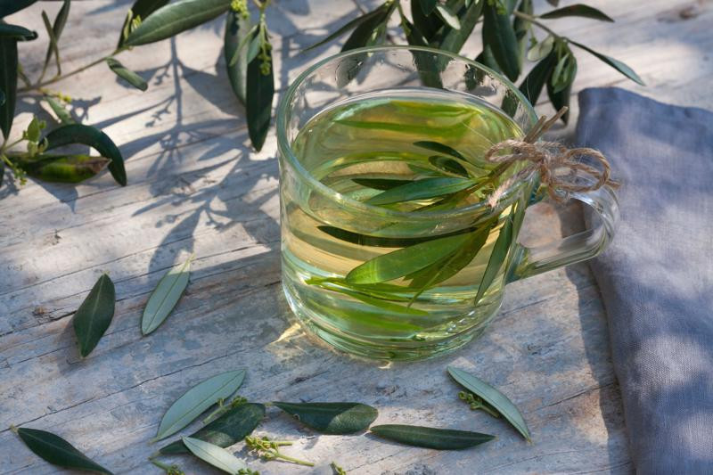 Binlerce yıldır tedavi amaçlı kullanılıyor Zeytin yaprağı çayı virüslere karşı korur mu Binlerce yıldır tedavi amaçlı kullanılıyor Zeytin yaprağı çayı virüslere karşı korur mu