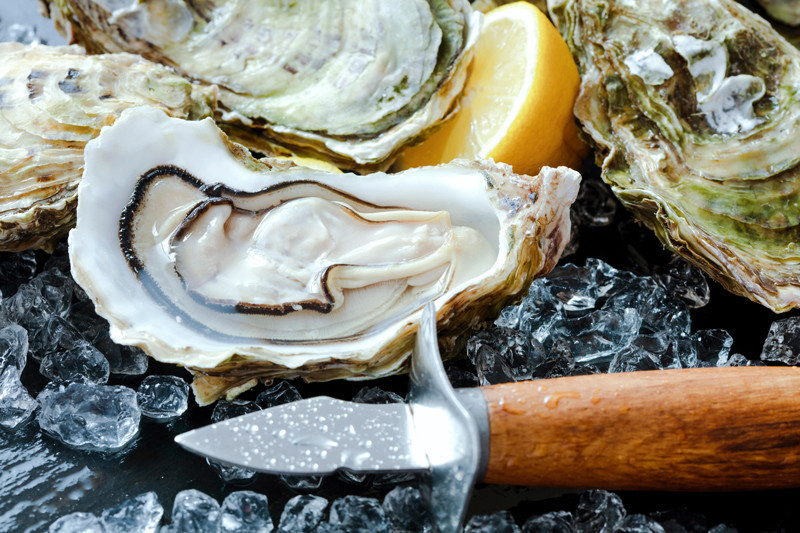 KABUKLU DENİZ ÜRÜNLERİ YEMEK GEZEGEN İÇİN SAĞLIKLI MI