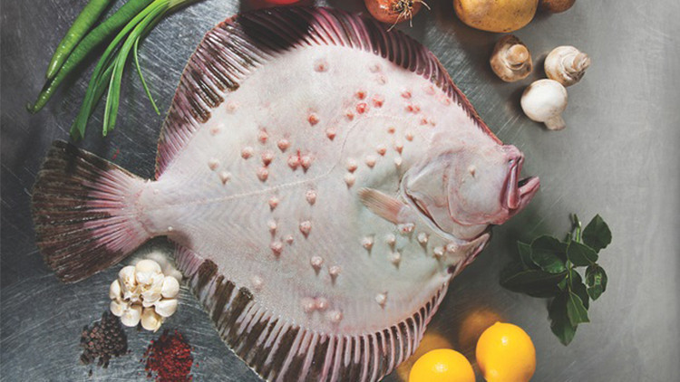 Kalkan balığı nasıl temizlenir, nasıl pişirilir Evde kalkan balığı tarifi ve yapımı