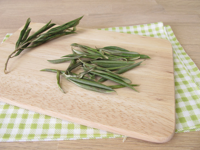 ‘VİRÜSLERİN ÇOĞALMASINI DURDURABİLİR’