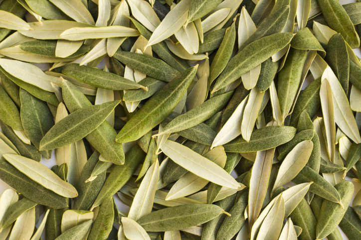 ‘TIBBİ TEDAVİYE ALTERNATİF DEĞİL’