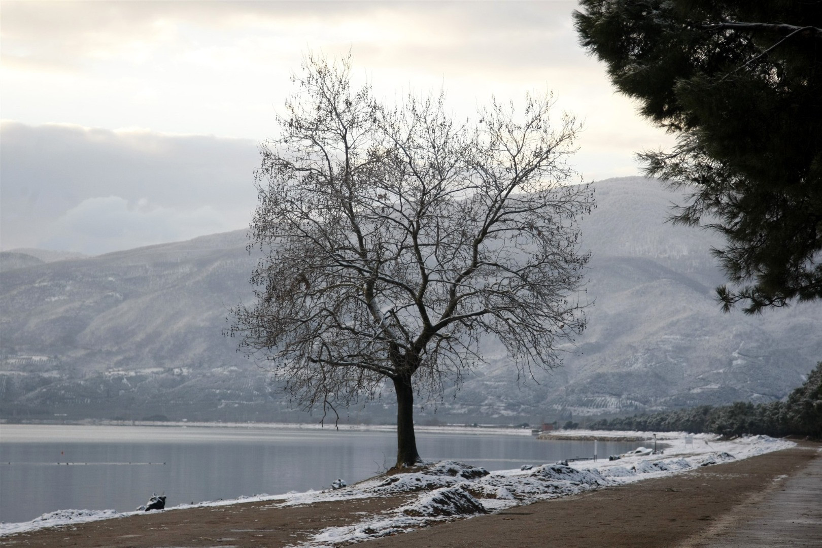 KAR YAĞARKEN ŞİMŞEK ÇAKMASI VE GÖK GÜRÜLTÜSÜ NORMAL Mİ