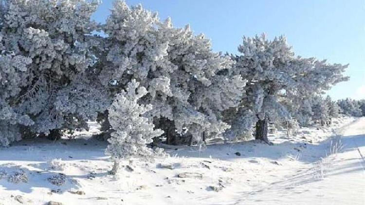 KAR YAĞARKEN GÖK GÜRLEMESİ NEDENLERİ