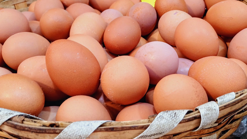 YUMURTANIN SİVRİ UCU AŞAĞI GELECEK ŞEKİLDE SAKLANMALI