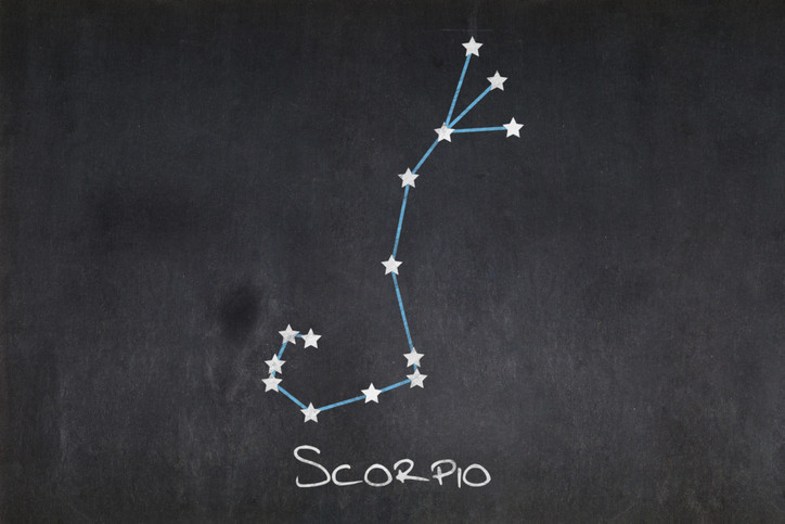 Akrep burcunun ilgi alanları ve hobileri