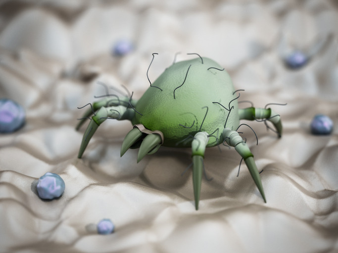 Sabah kalkar kalkmaz yatağınızı toplamayın