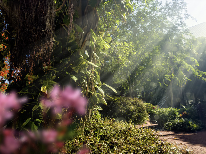 İLK CEMRE NE ZAMAN DÜŞER, CEMRE KAÇ GÜNDE BİR DÜŞÜYOR
