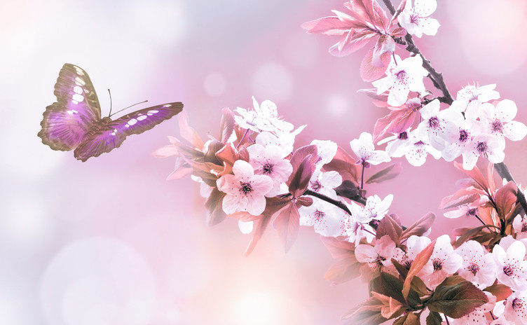 İLKBAHAR CEMRELERİ DÜŞME TARİHLERİ 2025 || Cemre ne zaman, kaç günde bir düşüyor İlk cemre nereye düşer, Şubatta mı Martta mı düşecek