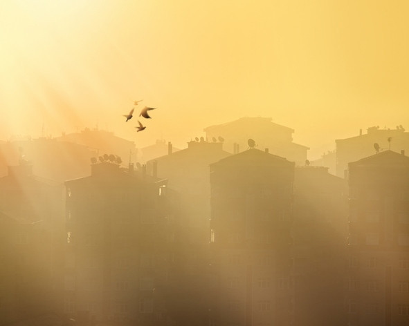 Havadaki gizli tehlike: Özellikle sabah erken ve akşam geç saatlere dikkat Havadaki gizli tehlike: Özellikle sabah erken ve akşam geç saatlere dikkat