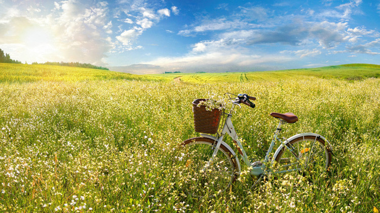 CEMRE DÜŞME TARİHLERİ, ARALIĞI VE SIRASI