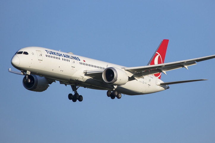 THY TEMETTÜ ÖDEME TAKVİMİ 2025 || Türk Hava Yolları (THYAO) temettü ödemesi ne zaman yatacak, hisse başı kaç TL verecek THY TEMETTÜ ÖDEME TAKVİMİ 2025 || Türk Hava Yolları (THYAO) temettü ödemesi ne zaman yatacak, hisse başı kaç TL verecek