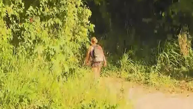 SURVİVOR SEMA ELENECEK Mİ