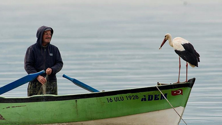 Yaren Leylek geldi mi Adem Amcayı sevindiren müjdeli haber 14 yıllık dostluk bozulmadı