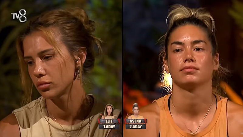 SURVİVOR ELEME ADAYI BELLİ OLDU MU