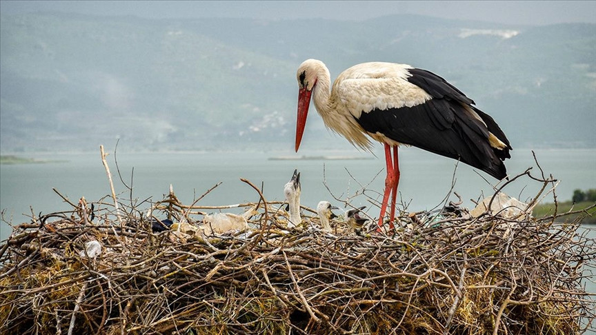FİLMLERE KONU OLAN DOSTLUK