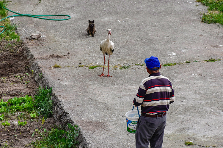YAREN LEYLEK VE ADEM AMCANIN HİKAYESİ NEDİR