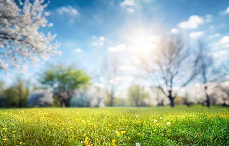 NEVRUZ NEDİR