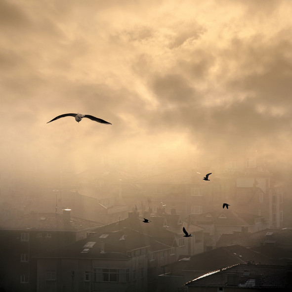 Çöl tozu alarmı Akciğerlerdeki dokuya zarar verebilir Çöl tozu alarmı Akciğerlerdeki dokuya zarar verebilir