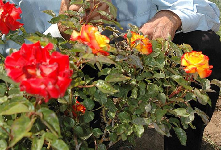 Hıdırellez ne zaman 2025, hangi güne denk geliyor Hıdırellez nedir, ne demek