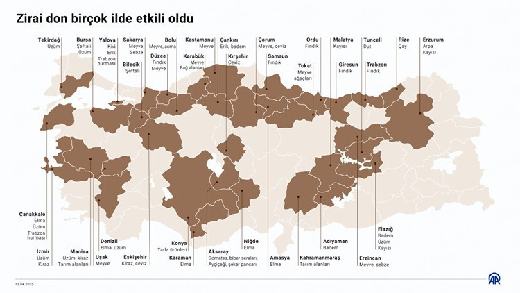 Zirai don olan iller hangileri, çiftçilerin karşılanacak mı Zirai don nedir, ne demek Bakan Yumaklıdan son dakika açıklama