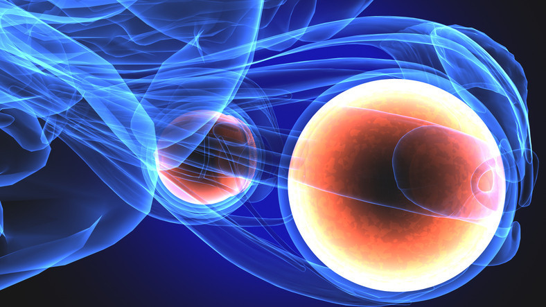 YÜKSEK RİSK YÜKSEK BAŞARI