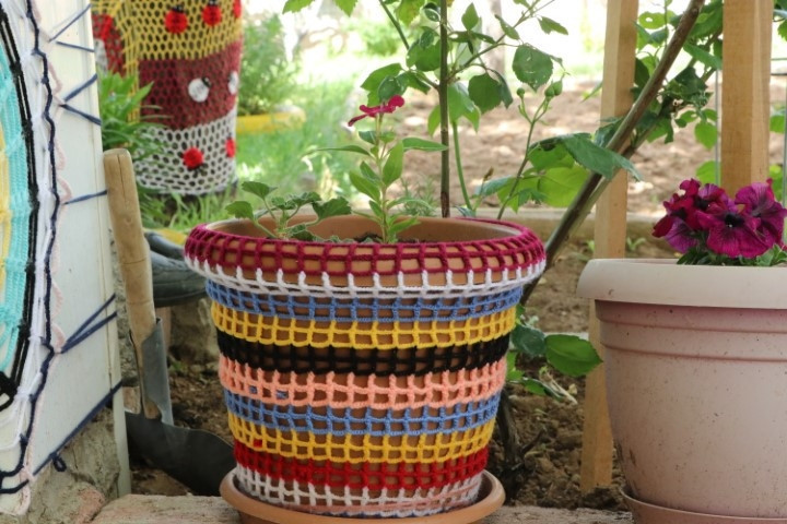 Evde sıkılınca kendini bu uğraşa verdi, herkesin beğenisini topladı Bahçede görenler gözünü alamıyor