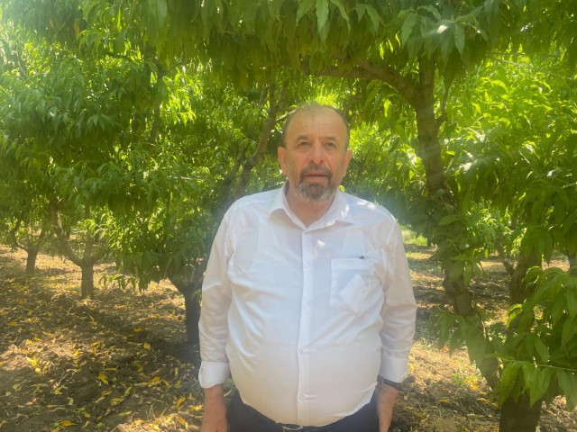 Tonlarca meyveyi dalından koparıp yere atıyorlar... Neden yaptıklarını böyle anlattı