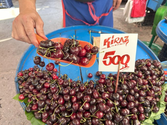 Zirai don vurmuştu: Pazarda kilosu 500 liradan satılıyor Zirai don vurmuştu: Pazarda kilosu 500 liradan satılıyor